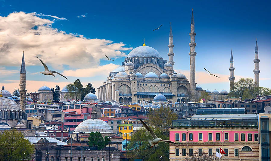 Express Voyages
